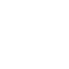 WYN Republic